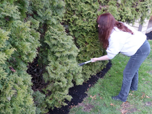 Load image into Gallery viewer, Fine Dark Bark