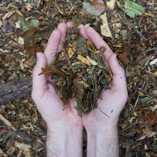 Load image into Gallery viewer, Arborist Chips
