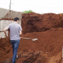 Load image into Gallery viewer, Fine Orange Bark