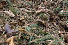 Load image into Gallery viewer, Arborist Chips