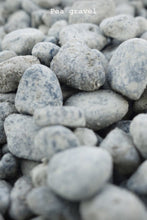 Load image into Gallery viewer, Washed Pea Gravel