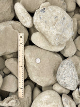 Load image into Gallery viewer, Cobble Rock