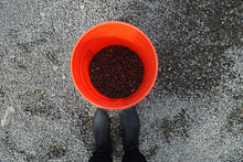 Load image into Gallery viewer, 1/4" Clean