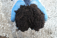 Load image into Gallery viewer, Organic Compost