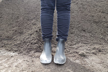 Load image into Gallery viewer, Rain Garden/Bio-Retention