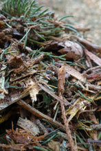 Load image into Gallery viewer, Arborist Chips