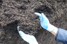 Load image into Gallery viewer, Organic Compost