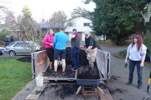 Load image into Gallery viewer, Fine Dark Bark