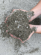 Load image into Gallery viewer, 1/4" Minus