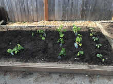 Load image into Gallery viewer, Oly Mountain Fish Compost