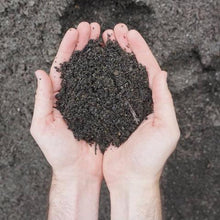 Load image into Gallery viewer, Rain Garden/Bio-Retention