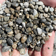 Load image into Gallery viewer, Washed Pea Gravel
