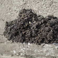 Load image into Gallery viewer, Rain Garden/Bio-Retention

