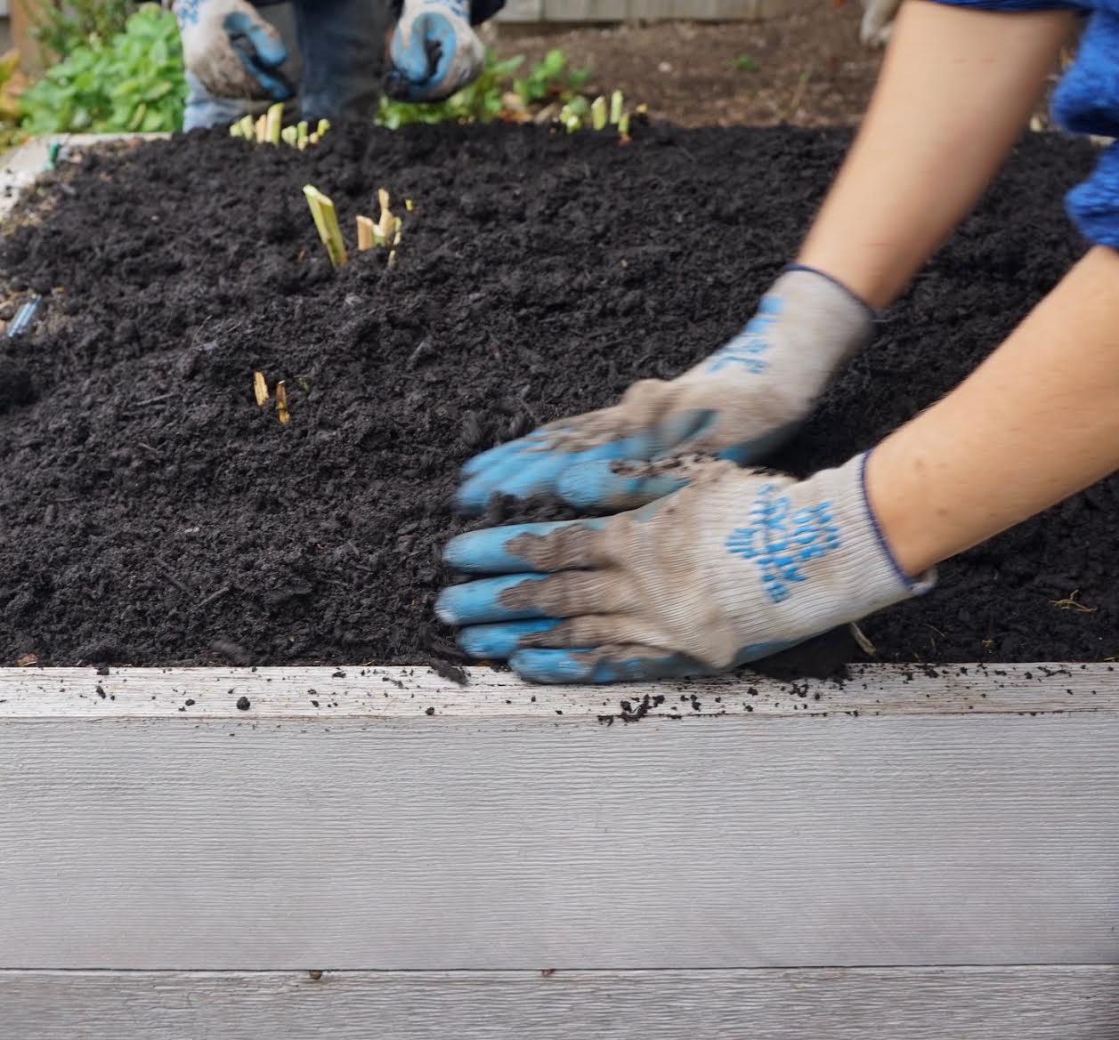 Oly Mountain Fish Compost – Dirt Exchange