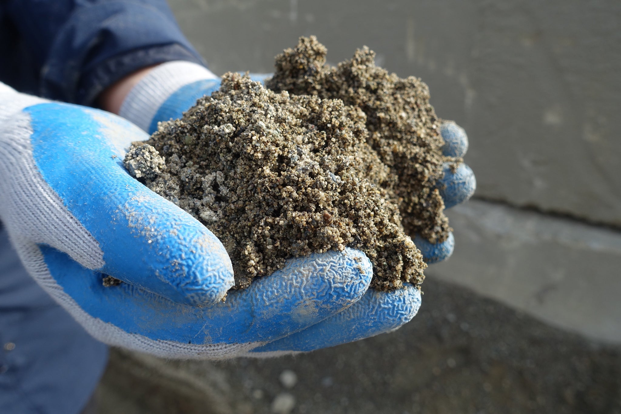 builders sand for succulents Builders Sand