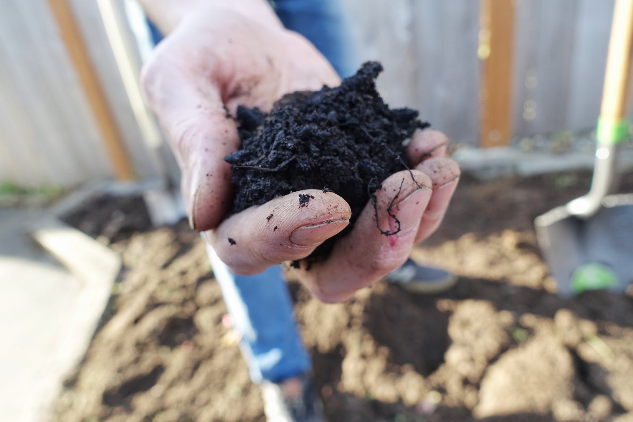 Oly Mountain Fish Compost – Dirt Exchange