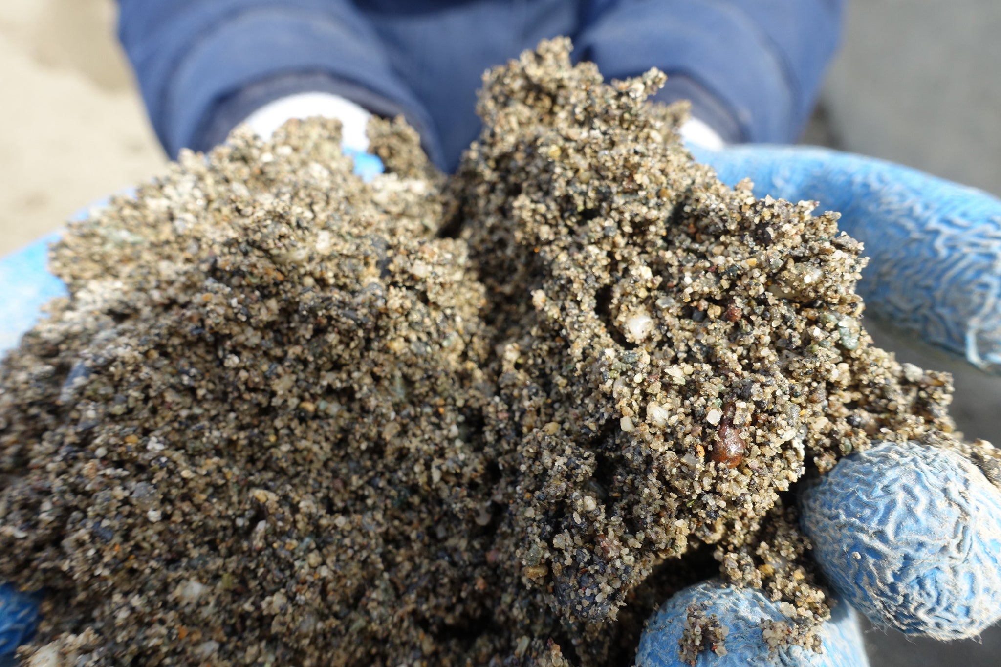 builders sand for succulents Builders Sand – Dirt Exchange