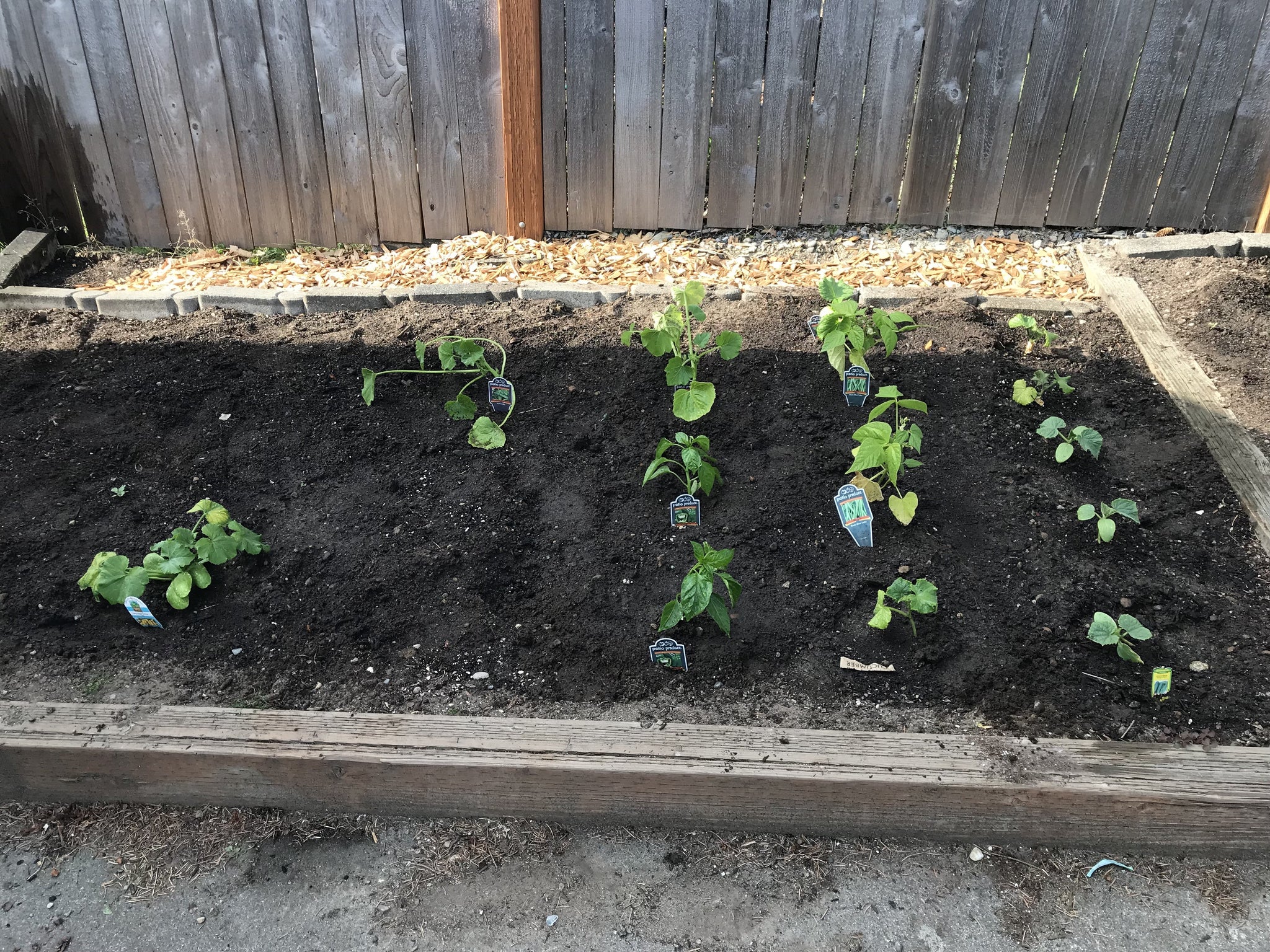 Oly Mountain Fish Compost – Dirt Exchange