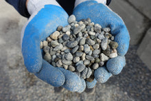 Load image into Gallery viewer, Washed Pea Gravel
